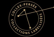 Chef.fe de projet « Préfiguration du programme de numérisation concertée de CollEx-Persée 2 »