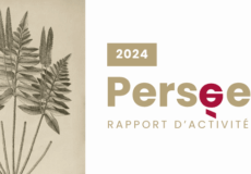 Rapport d’activité 2024 : entre consolidation et nouvelles ambitions