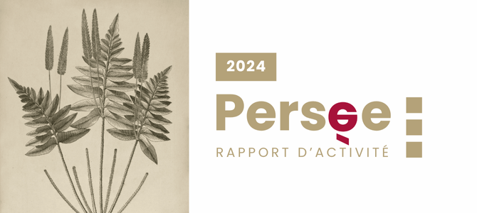 Rapport d’activité 2024 : entre consolidation et nouvelles ambitions